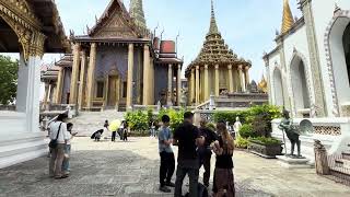 IMG 4537