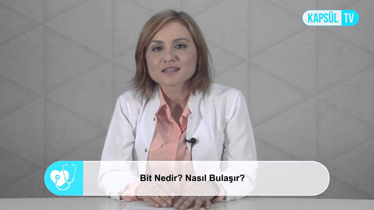 Bit Nedir Neden Olur Nasıl Temizlenir Bit Nedir Neden Olur Nasıl Temizlenir