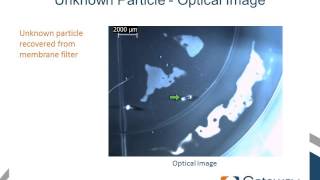 Webinar: Case Studies in Foreign Particulate Analysis