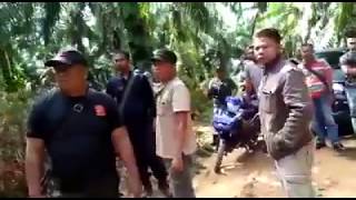 Konflik masyarakat dayak dengan Pengelola perusaaahan Sawit
