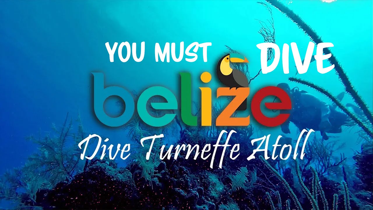 Diving - Belize: Turneffe Atoll