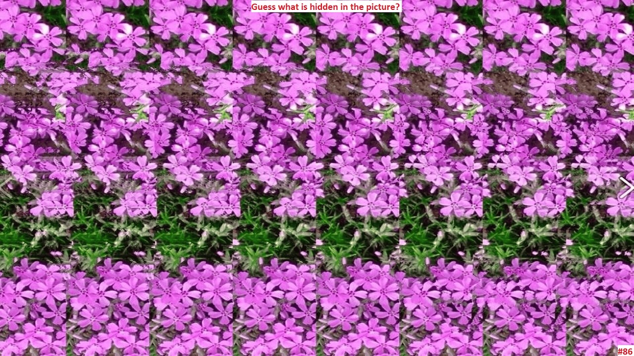 Что  спрятано на этой картинке? Guess what is hidden in the picture?