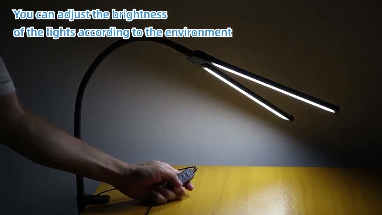 10 Brightness Table Light Double Head Study Lamp | More Vision