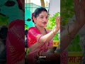 वटपौर्णिमा स्पेशल...❤️🩹💫💕#vatpournima #maharashtra #vairalshort #shortvideo #trendingshorts