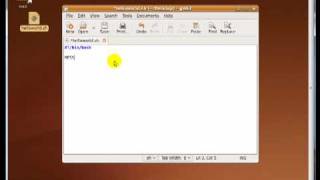 Basic Bash Scripting Lesson #1 Basic Bash Scripting Lesson #1