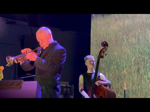 Wichita Lineman - Flea and the Honora Band (NYC, 2026) (4K HDR)