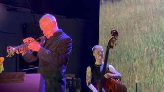Wichita Lineman - Flea and the Honora Band (NYC, 2026) (4K HDR)