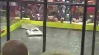 Robobash
