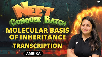 Molecular Basis of Inheritance | Transcription | NEET 2024 Conquer Batch | Ambika Sharma