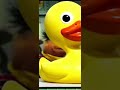 LEND THE RUBBER DUCKY. AAAHHHH