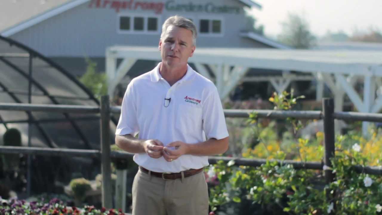 Armstrong Test Gardens Armstrong Garden Centers YouTube