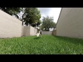 Husky Things in Slow Motion!