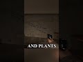 3 Insane Details In The Passing #Left4Dead2 #shorts