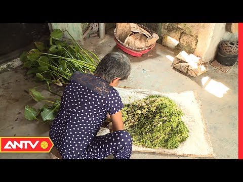 Video 30 năm bị LỪA BÁN SANG TRUNG QUỐC: Chăn 50 con trâu, ở... - youtube