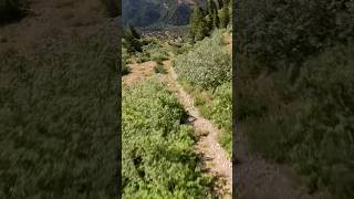 Wingsuit Proximity Flying