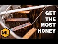 How to extract honey step by step guide