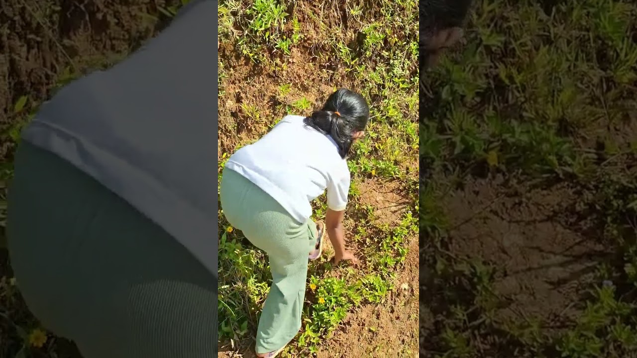 VLOG PERTAMA | LIBURAN DIRUMAH NENEK