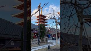 Winter in Tokyo Last December…. It was wonderful. Pls help to like and subscribe for a purpose..