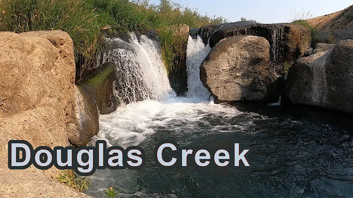 HIKING / Douglas Creek Falls -- A Shady Desert Oasis