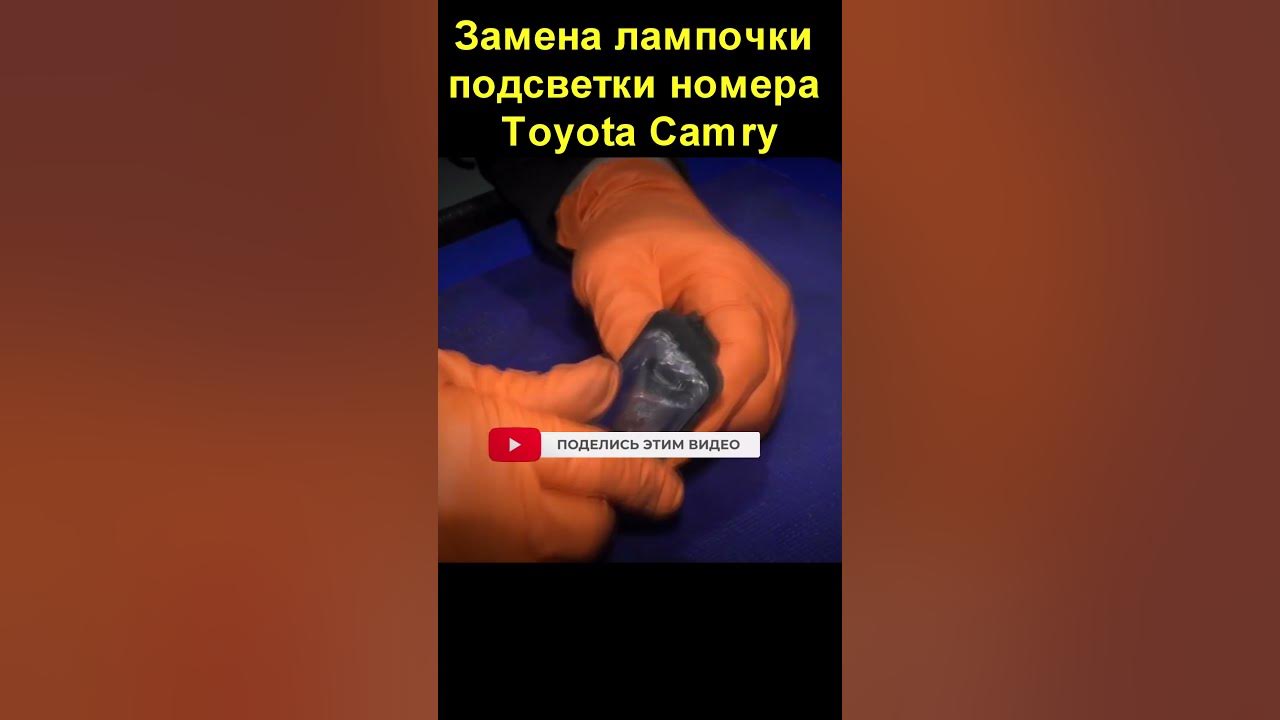 Как поменять лампочку подсветки номера тойота камри Плафон подсветки номера камри 40