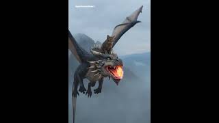 Dragon Rider Cat 🐱🐉