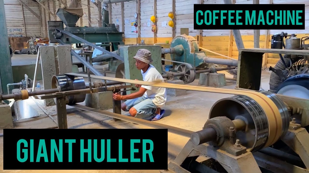 Coffee Process ASMR Coffee Vlog Huller Coffee Machine Drying