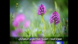 سورة البلد - تلاوة خاشعة للشيخ عبد العزيز الزهراني