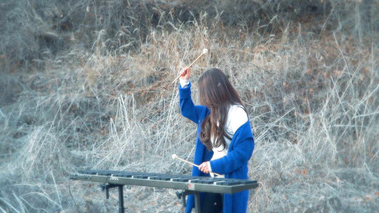 Vivaldi Winter 1st Movement Marimba 비발디 사계 겨울 1악장 마림바 YouTube