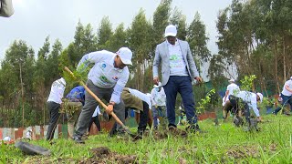 የአዋሾች አረንጓዴ አሻራ ፤ሐምሌ 26, 2014/ What's New Aug 2, 2022
