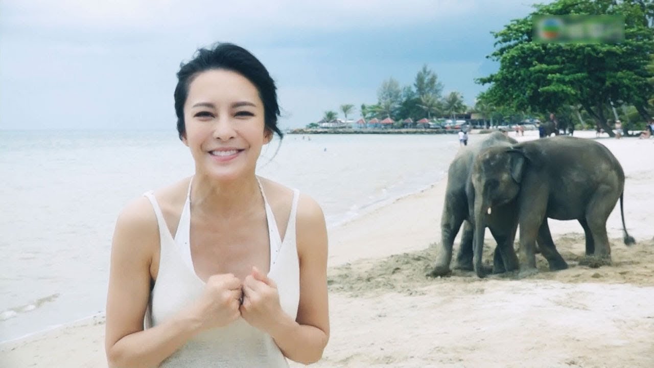 女神張曦雯同象仔  零距離接觸 - 3日2夜