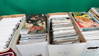 Insane Dollar Bin Comic Haul – 5 Boxes of Cheap Comic Gems!