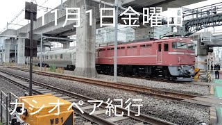 11月1日金曜日 カシオペア通過！EF81 81 80号機