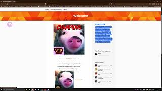 Information How To Get VIP On Tim's Place PVE 10x Rust Server News