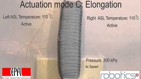 SPA with Adjustable Stiffness Layers for Multi-DoF Actuation