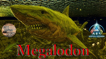 Taming a Megalodon - ARK Survival Ascended [Ep. 29]