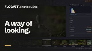 Look brighter or darker without touching the file | FLOGVIT.photosuite