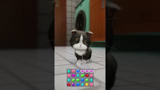 「パズにゃんKitten Match」Can Anyone Save the Blind Kitty　　　#straycat #kittenmatch