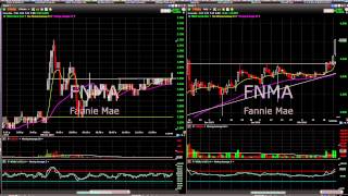 Video Lessons #311 - 316 - Ripping $7500 on $FNMA and $INO $AVL $RNN calls  Fous Alerts
