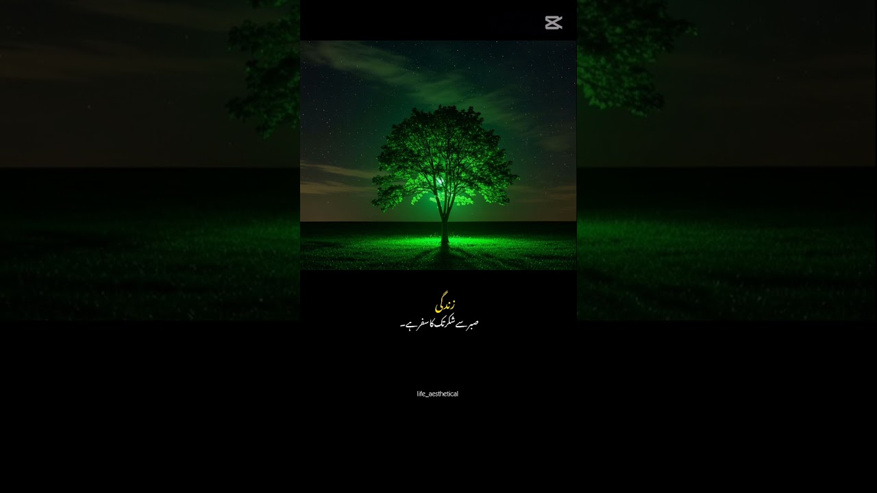 zendagi ak sbr sy shukr ka name hy