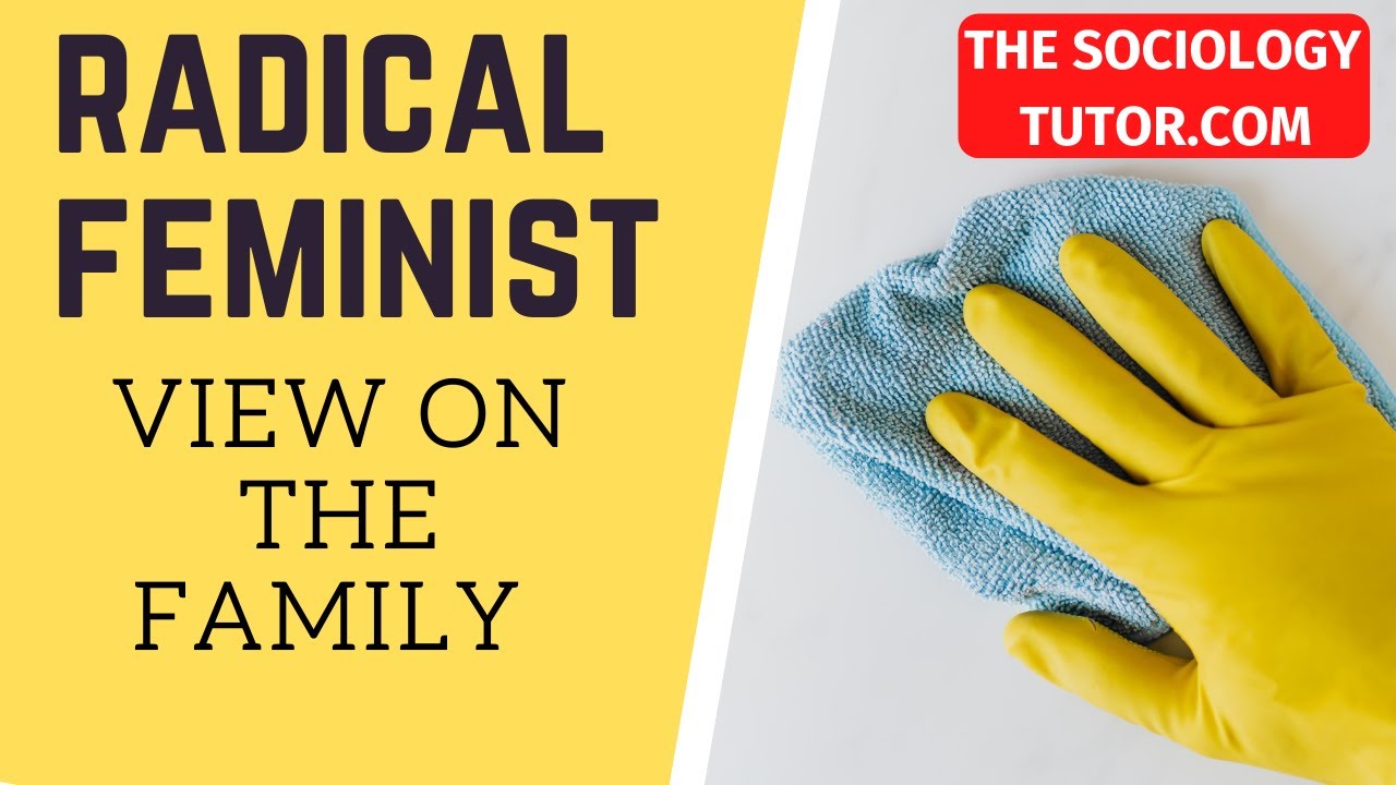 feminist view on family sociology essay