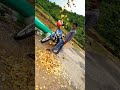 Golden coin short clip #viralvideo amazing #coincollecting !!