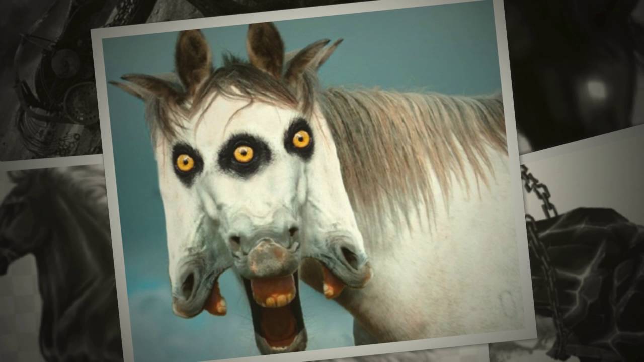 Kaylin's Krazy Horses YouTube