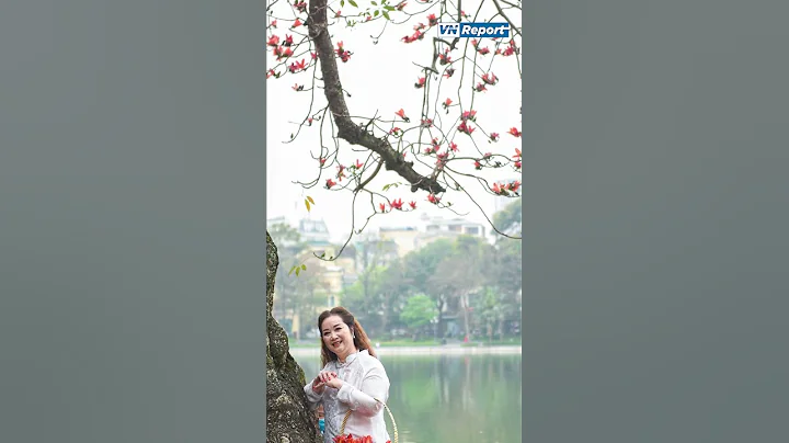 Khám phá những địa điểm chụp ảnh hoa gạo đẹp nhất tháng 3 tại Hà Nội #shorts #hoagao