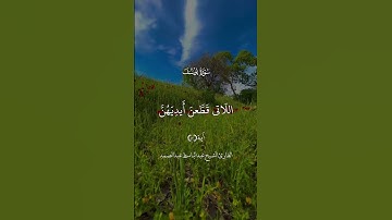 وقال الملك ائتوني به [يوسف: ٥٠] القارئ #عبدالباسط_عبدالصمد