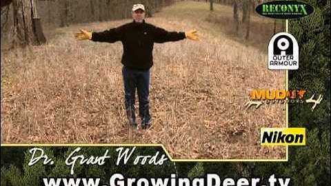 Get The Best Food Plot: Where
