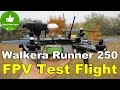 ✔ Walkera Runner 250 - Полеты, FPV + установка камеры! Test Flight. Gearbest