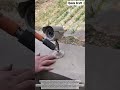 Instant Concrete Fastening! ⚡️ The Future of Installation. #shorts