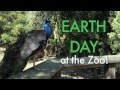 Earth Day at the Zoo!