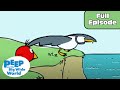 Chirp's Flying and Swimming Adventures