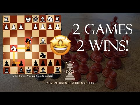 STUDY: Ponziani Steinitz Gambit – chess noob Game Review! #8 – Adventures  of a Chess Noob